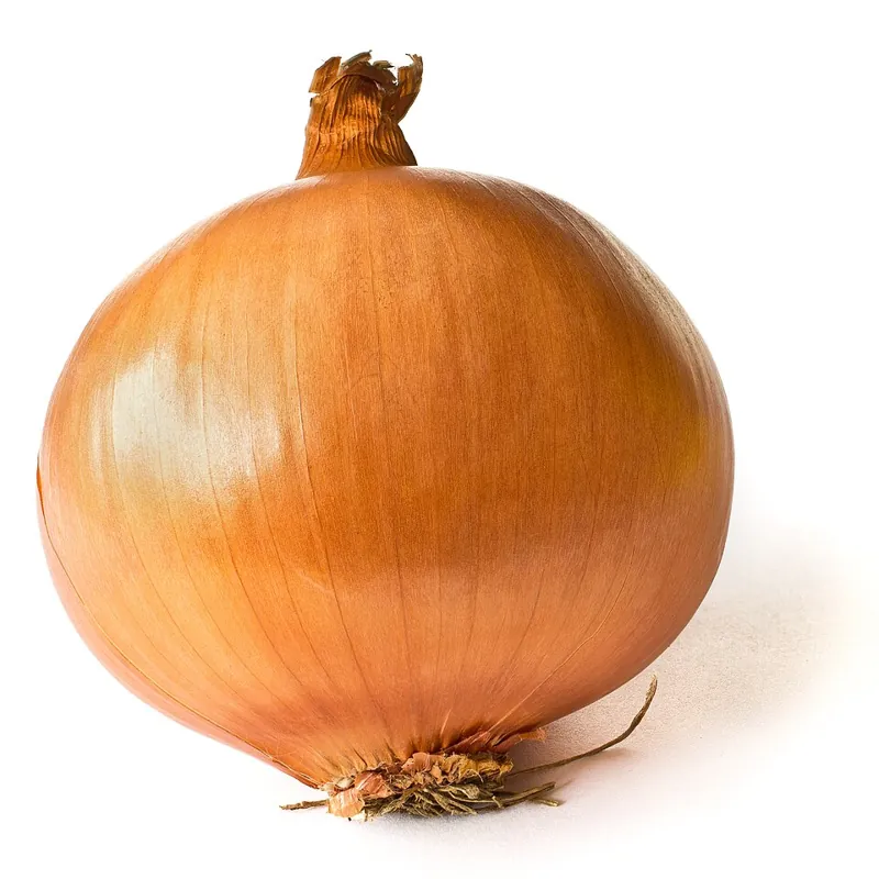 A single brown onion bulb