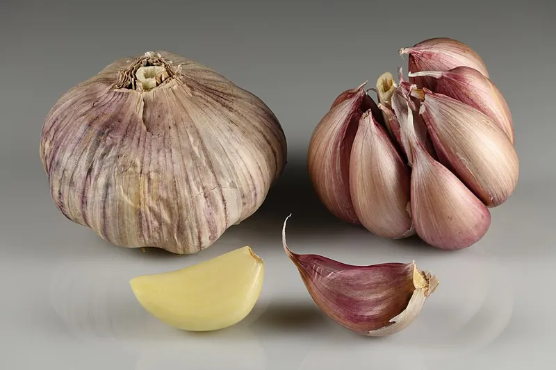 A garlic bulb with a few cloves separated