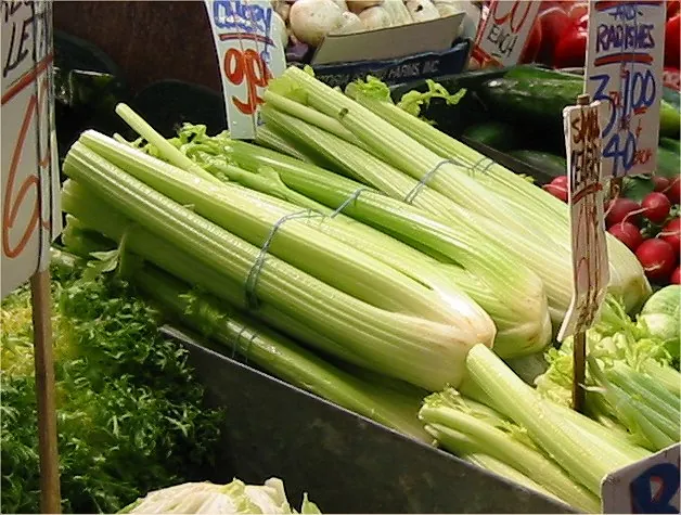 A bunch of celery stalks