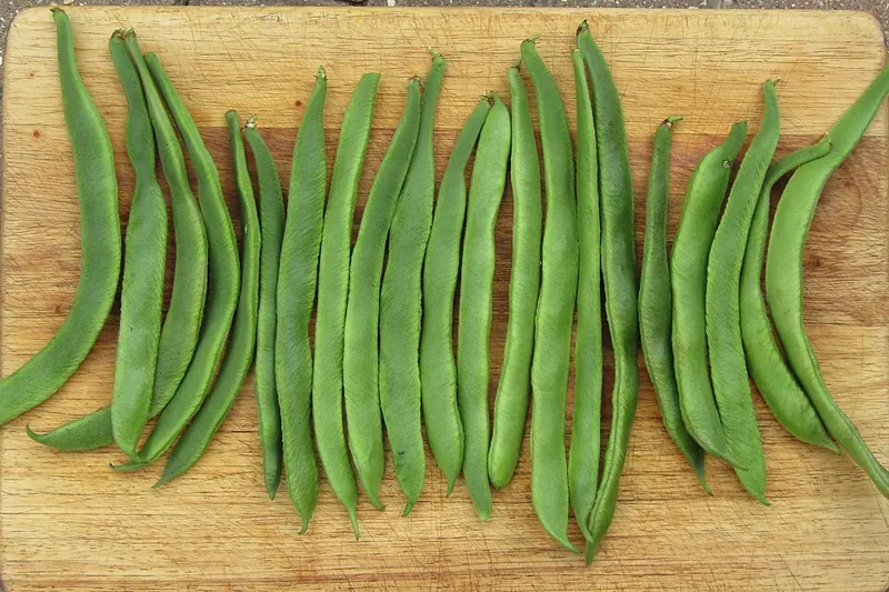 Green runner bean pods