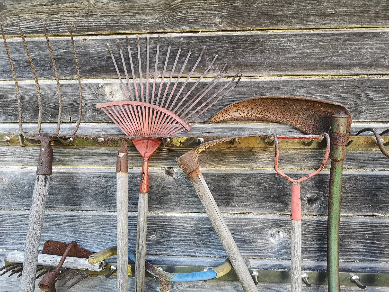 Old garden tools - a pitchfork, fan rakes, a scythe blade and hoes - hung in a row on a weathered wooden wall