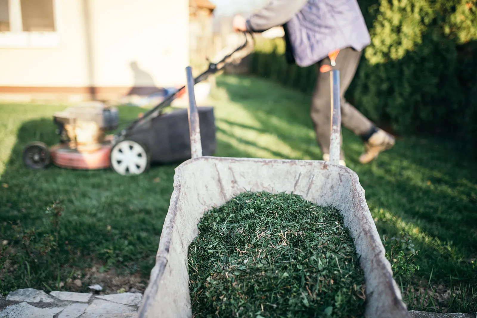 A weathered wheelbarrow heaped with fresh grass clippings, a mower and gardener crossing the lawn behind