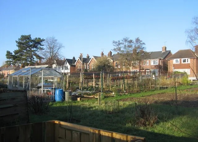 Winter allotments in low sun, a small greenhouse and blue water barrel among bare fruit bushes, brick houses behind