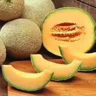 Melon