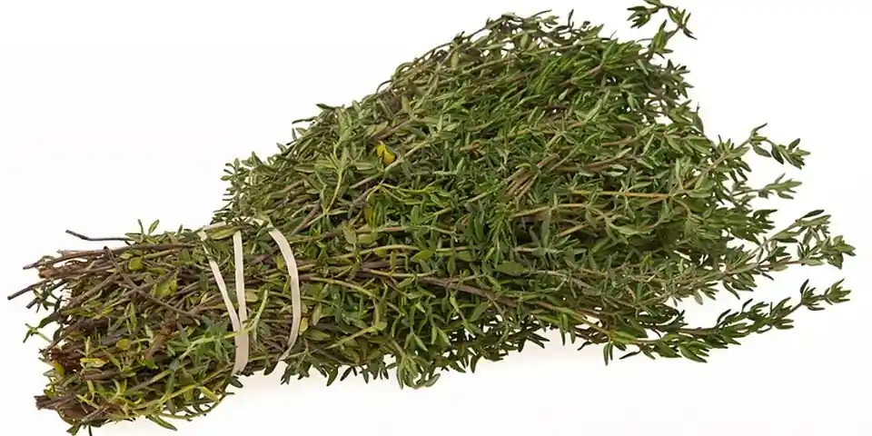 A bundle of fresh thyme sprigs