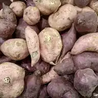 Sweet Potato