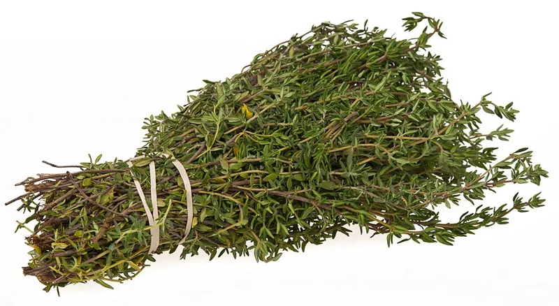A bundle of fresh thyme sprigs